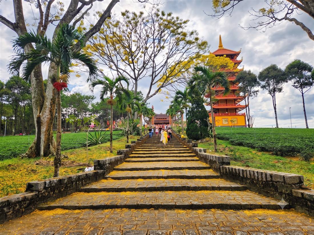 Bậc thang đá dẫn lên Chánh điện phủ đầy hoa phượng vàng rụng, hai bên là đồi chè
