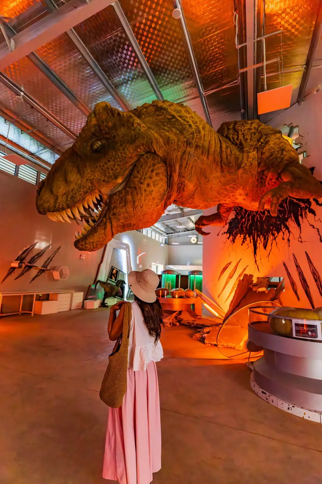Khách tham quan đứng trước mô hình khủng long T-rex cỡ lớn trong không gian trưng bày có mái che tại Dino Park
