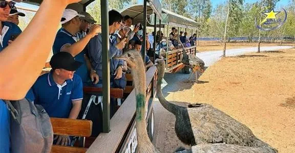 Hình ảnh: cafe giữa thiên nhiên tại Safari Cafe