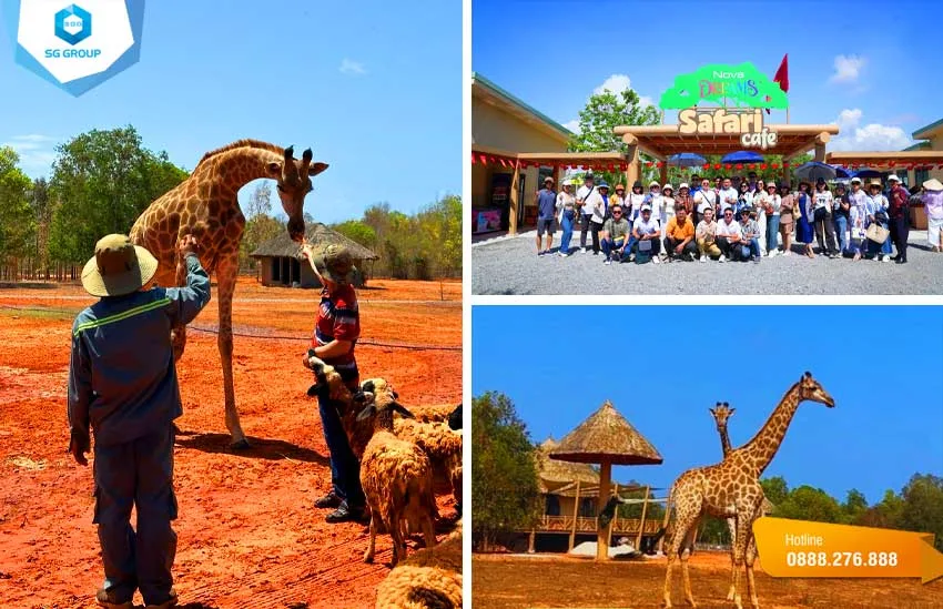 Hình ảnh: cafe giữa thiên nhiên tại Safari Cafe