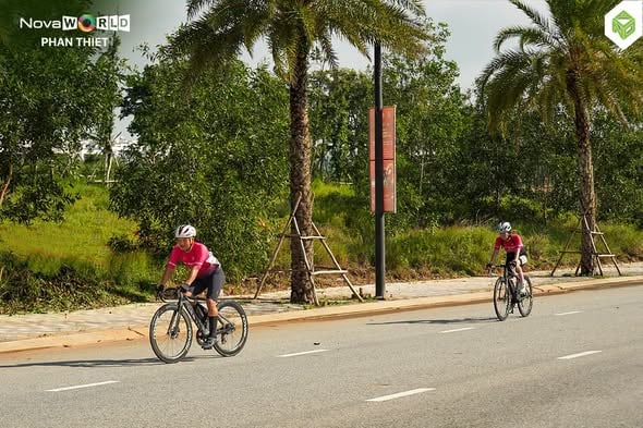 Cung đường nội khu rộng, hai bên có cây xanh tại NovaWorld Phan Thiết